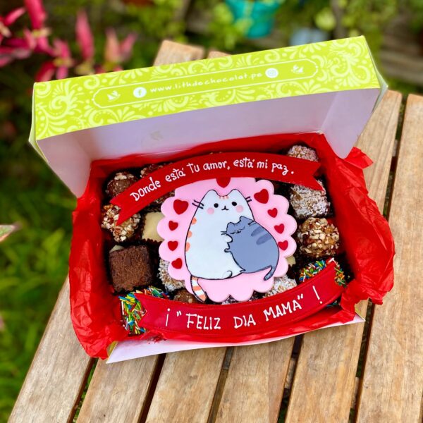 Caja surtida con brownies, trufas y alfajores variados, decorada con topper de fondant de una mamá gato abrazando a su bebé gato.