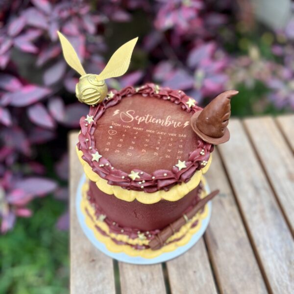 Burncake de harry potter con varita, sombrero seleccionador, snitch dorada, estrellitas, perlas y buttercream.