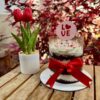 Bloom Cake: torta naked con buttercream, sprinkles temáticos de San Valentín, lazo decorativo, pequeño topper y macetero con flores artificiales.