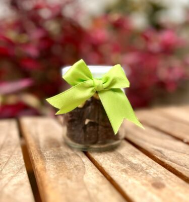 Jar de Dulzura con brownies y alfajores artesanales, presentado en un frasco decorado con un lazo de tela.